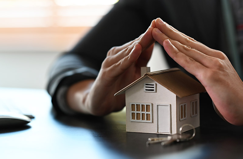 What is a Domestic Asset Protection Trust?